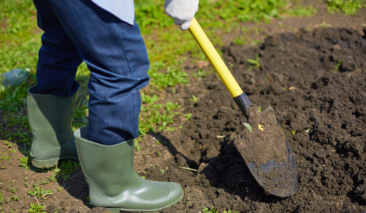 Tackling the Toughest Terrain: Overcoming Soil Challenges in Spring Gardening