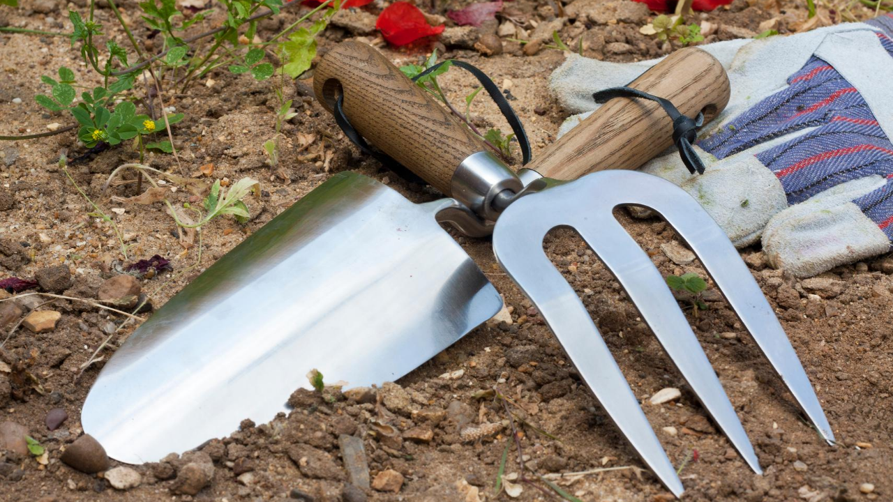 How to Prepare Your Garden for Fall Header