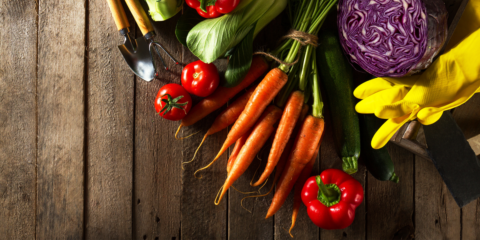 Spring into Gardening: Top Veggie Varieties for Your Garden