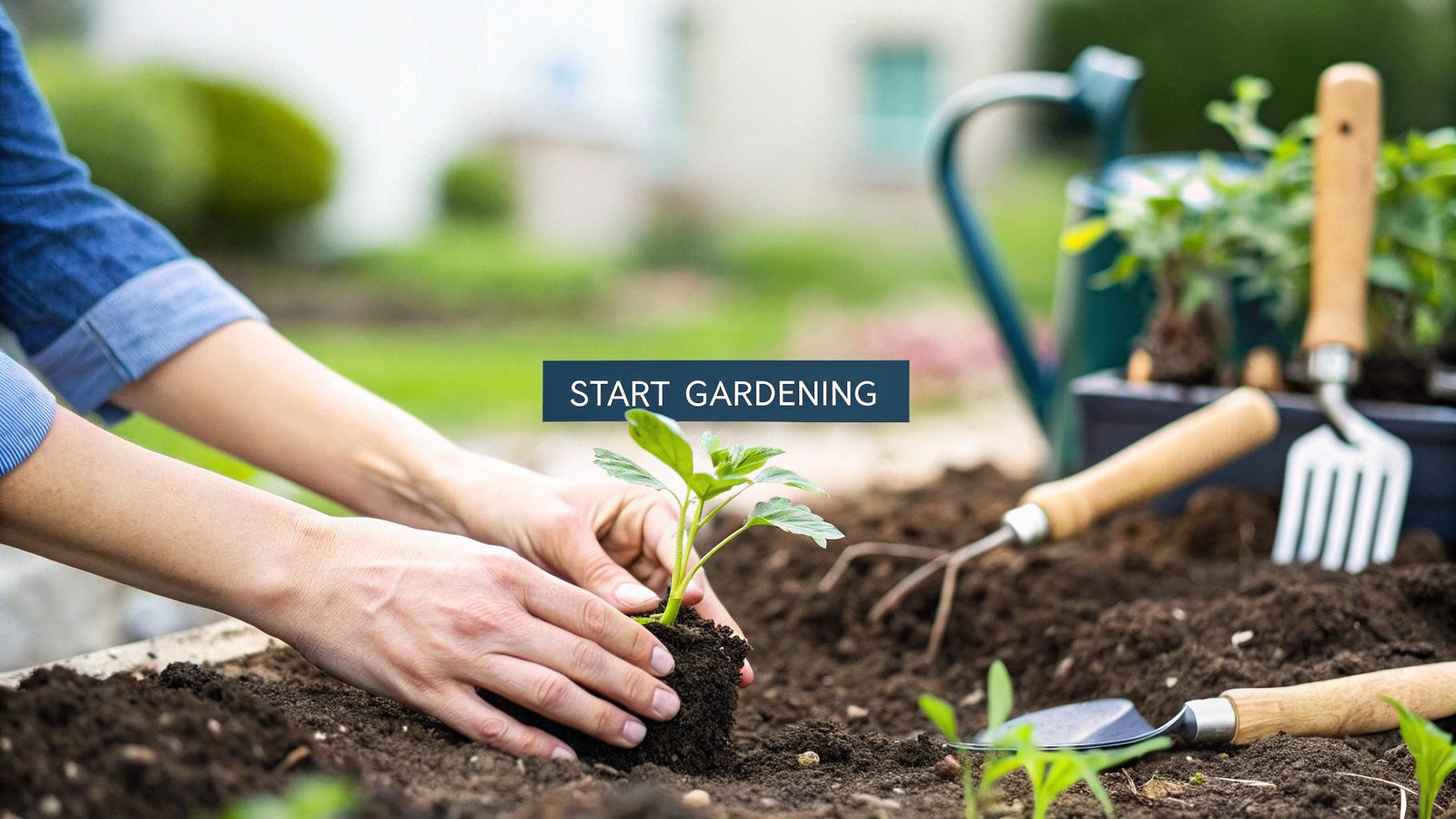 How to Start a Garden for Beginners: Easy Step-by-Step Guide