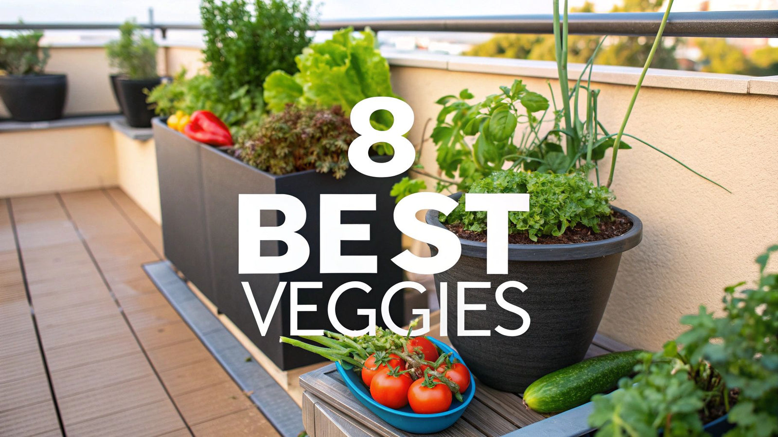 8 Best Vegetables for Containers to Grow in 2025