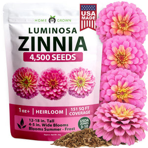 Luminosa Zinnia