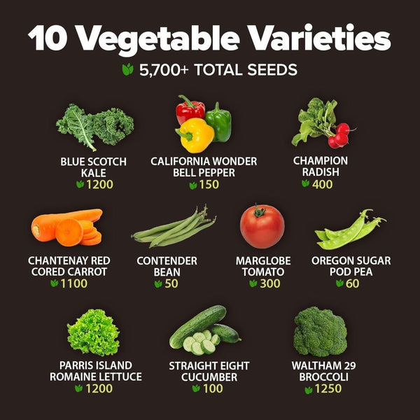 Heirloom Vegetable Seeds, 10 Variety Pack, 5700+ ct - Homegrown Garden