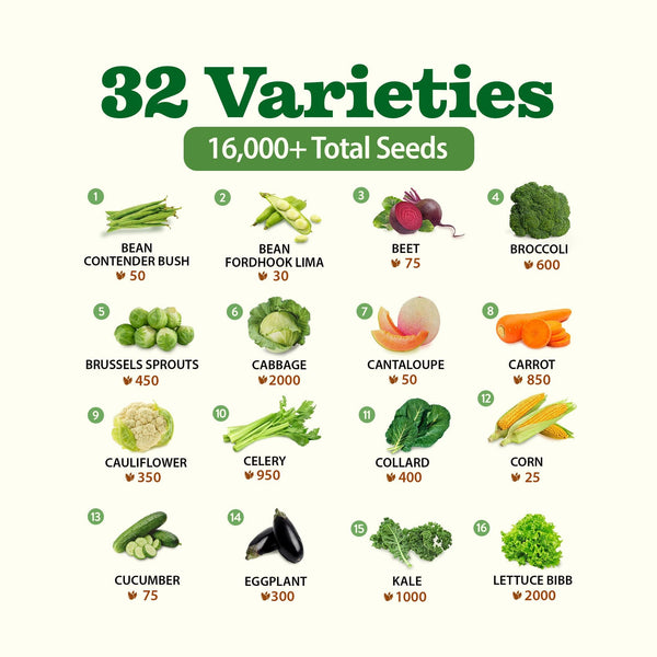 Heirloom Vegetable Seeds, 32 Variety Pack, 15000+ Seeds