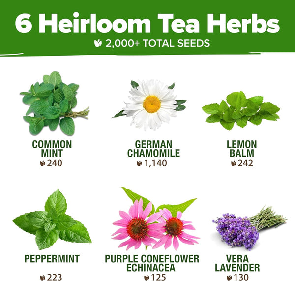 Herbal Tea Seed Pack, 6 Varieties, Heirloom Non-GMO