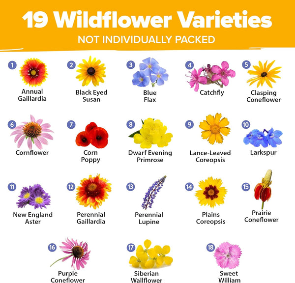 midwest wildflower seeds Midwest Wildflower Seeds Mix, 19 Varieties, 4oz