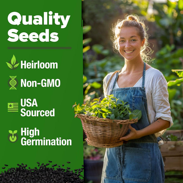 Lemon Balm Seeds 2 Pack, 806 ct, Non-GMO - Homegrown Garden