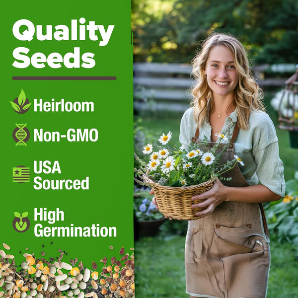 seeds for tea garden Herbal Tea Seed Pack, 6 Varieties, Heirloom Non-GMO