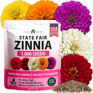 State Fair Zinnia