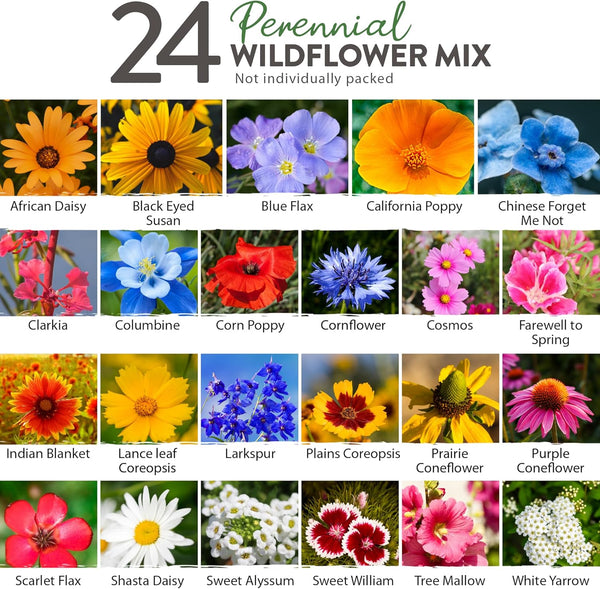 wild plant seeds North American Wildflower Seeds, 24 Variety, 3oz
