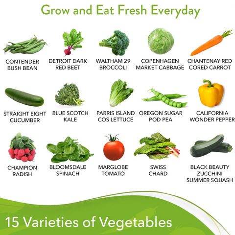 Heirloom Vegetable Seeds - (15 Variety)