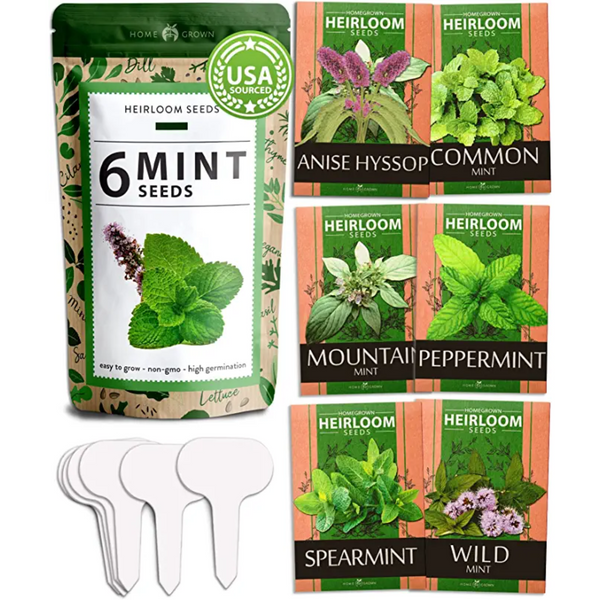 Mint Seed Pack, 6 Varieties, Heirloom, USA Grown