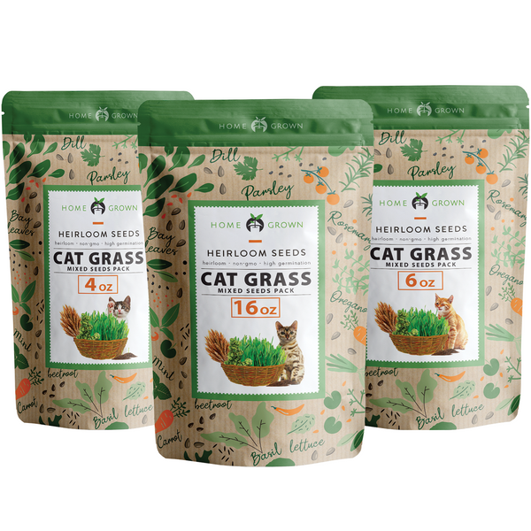 Cat Grass Seeds Bulk, Oat and Barley Mix, Non-GMO