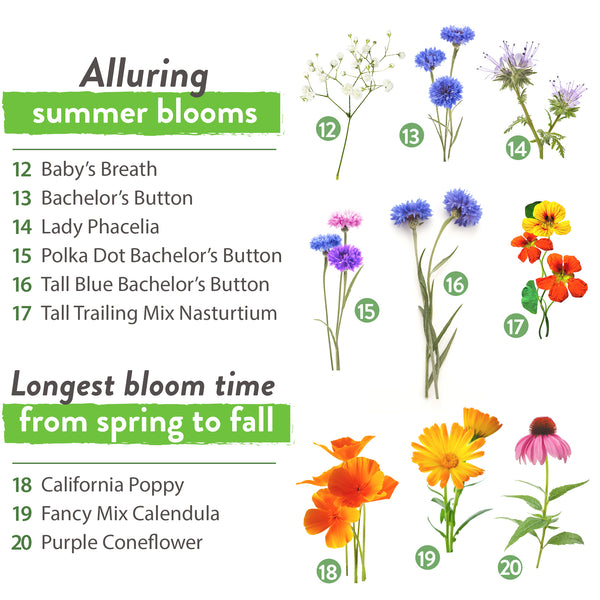 25 Heirloom Flower Seed Packets Including 20+ Varieties Flower