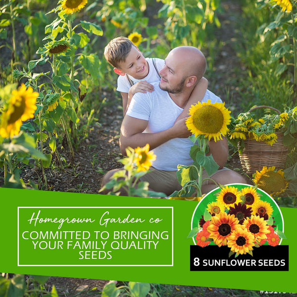planting sunflower seeds in august Heirloom Sunflower Seeds, 8 Variety, 1000+ ct