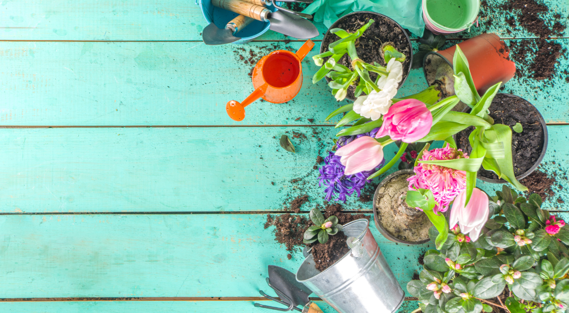 Spring Gardening Checklist