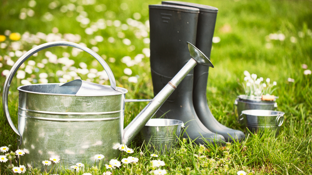 Spring Gardening Tasks - Homegrown Garden