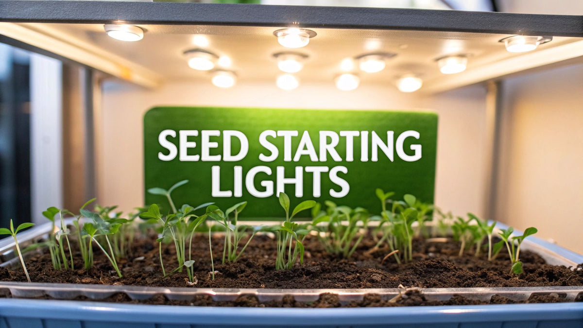 7 Best Grow Lights for Seed Starting Your Garden - Homegrown Garden