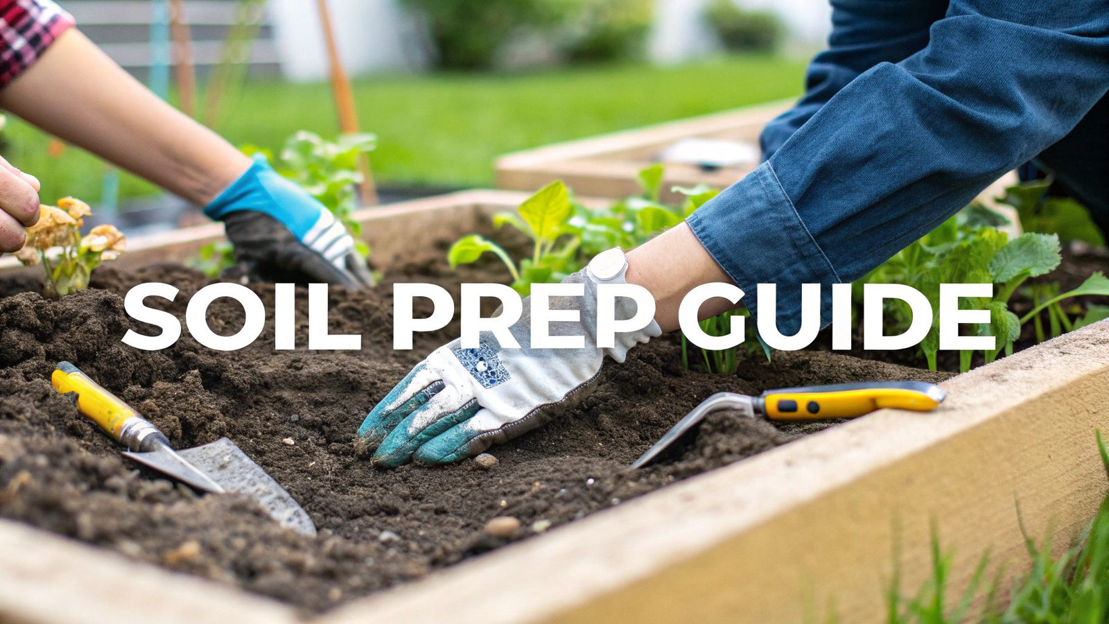 7 Steps for How to Prepare Soil for Planting Vegetables