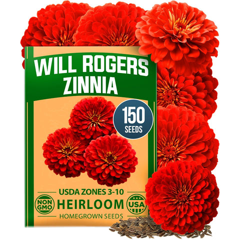 Will Rogers Zinnia Seeds - 150 Seeds - Tall Cut-Flower Heirloom