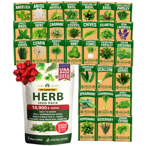 Culinary Herb Seed Vault - (30 Variety)
