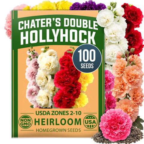 Chater's Double Hollyhock Seeds - 100 Seeds - 5-8 ft Double Blooms