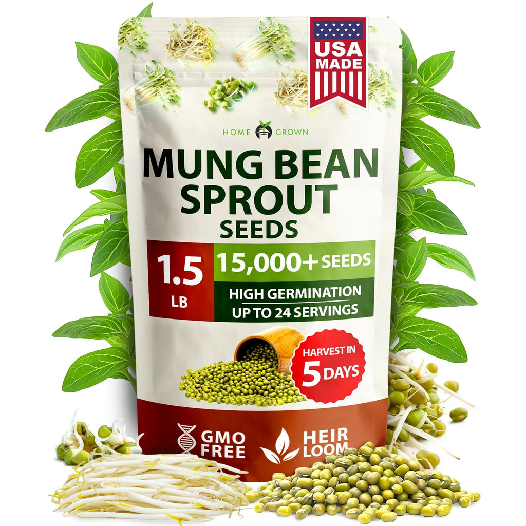Mung Bean Sprouting Seeds - 1.5 lb (15,000+ Seeds)