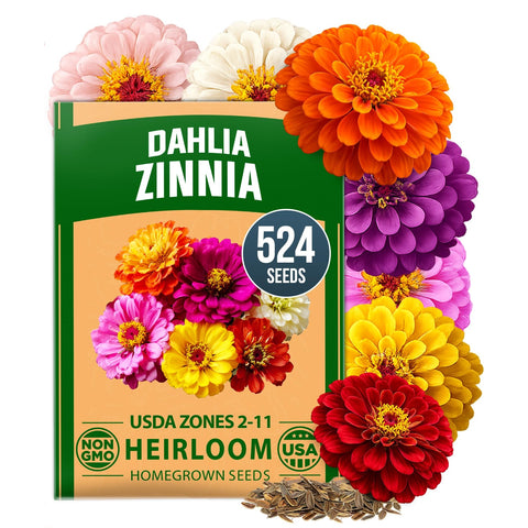 Dahlia Zinnia Seeds Mix - 524 Seeds (3.5g) - Large Double Blooms