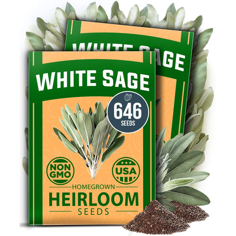 White Sage Seeds - 646 Seeds (2-Pack) - Drought-Tolerant Perennial