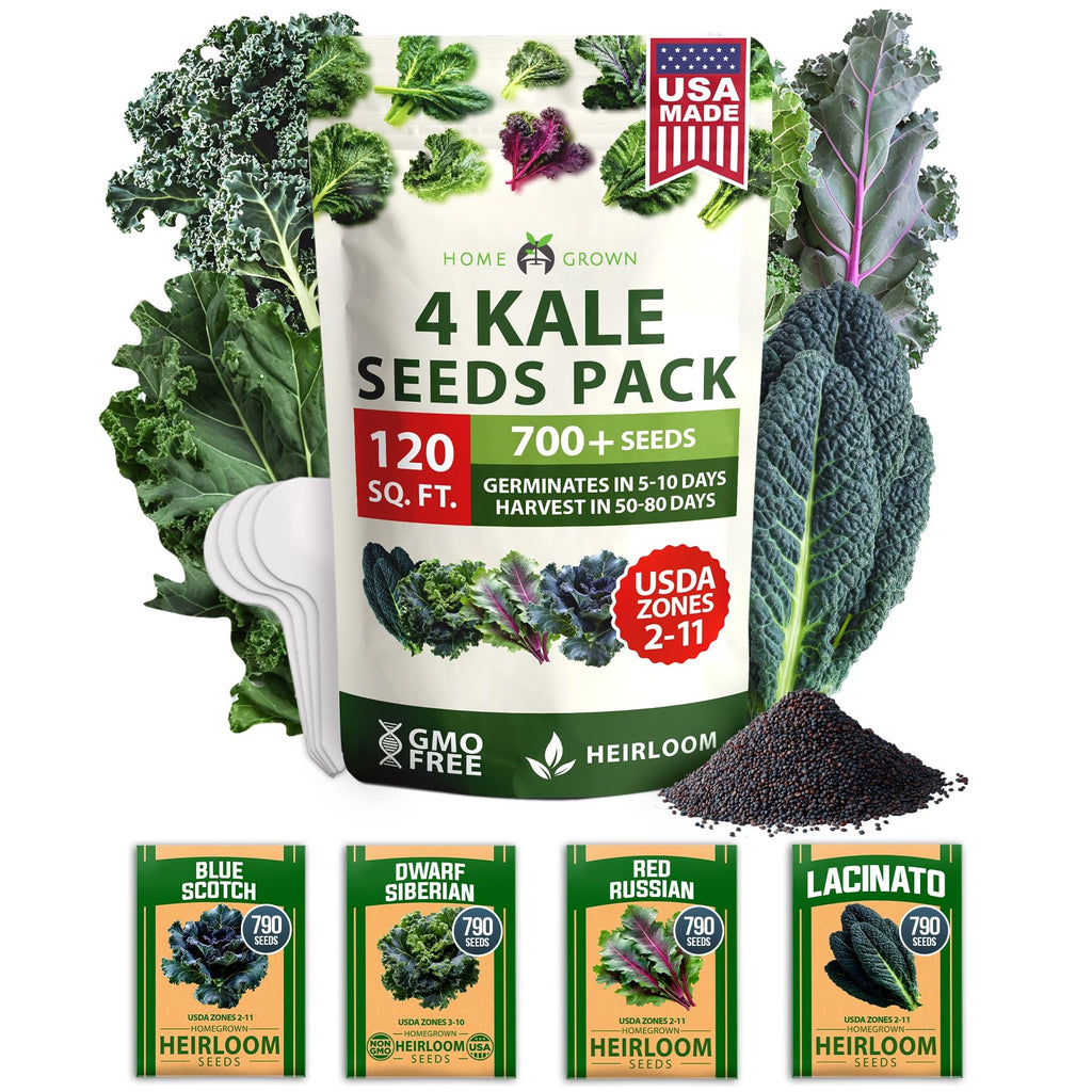 Kale Seed Pack - 4 Varieties (700+ Seeds)