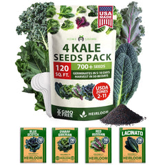 Kale Seed Pack - 4 Varieties (700+ Seeds)