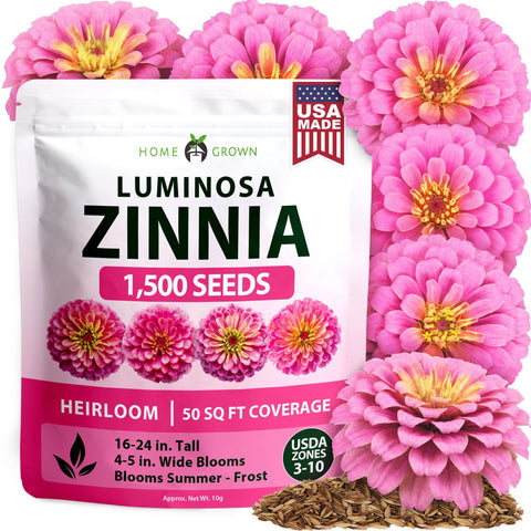 Luminosa Zinnia Seeds - 1,500 Seeds (10g) - Bright Pink Blooms