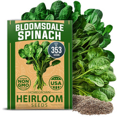 Bloomsdale Spinach Seeds - 350 Seeds - Dark Crinkled Leaves