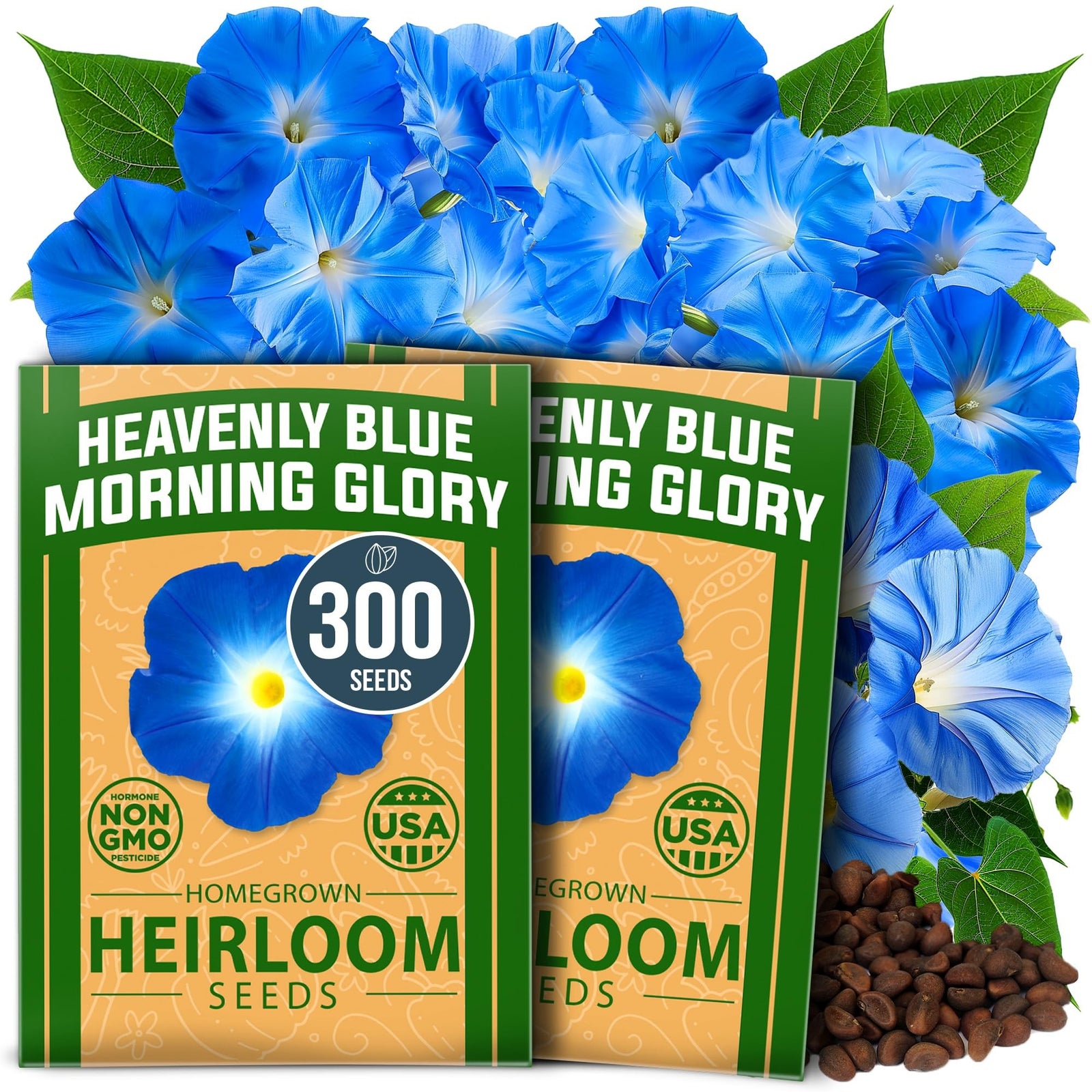 Heavenly Blue Morning Glory Seeds (2-Pack) - Sky-Blue Vine