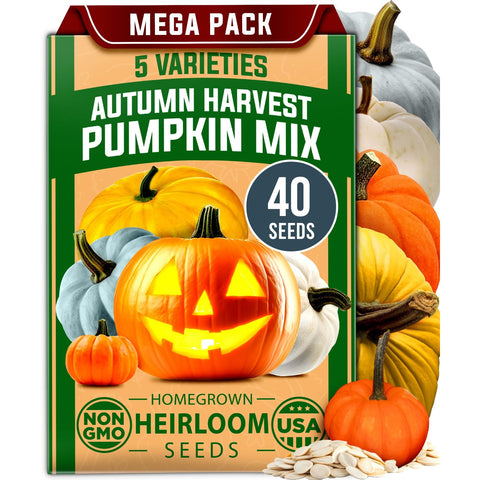Pumpkin Seed Mix - 5 Varieties (40 Seeds) - Decorative & Edible