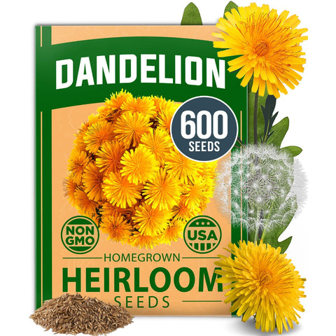 Dandelion Seeds - 600 Seeds - Edible Greens & Blooms