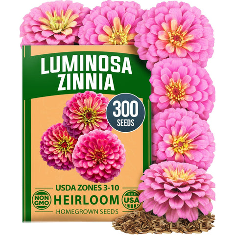 Dwarf Zinnia Seeds Mix - 17,000 Seeds - Cut-and-Come-Again Blooms