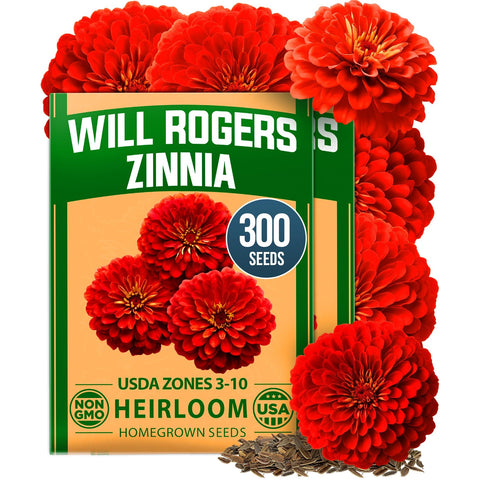 Will Rogers Zinnia Seeds - 300 Seeds (2-Pack) - Tall Cut Flowers