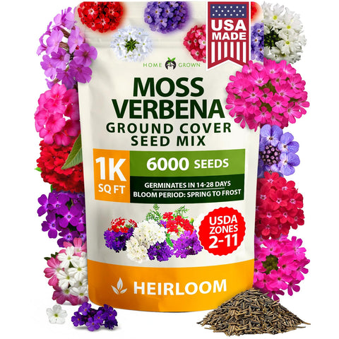 Moss Verbena Seeds - 6,000 Seeds - Season-Long Ground Cover