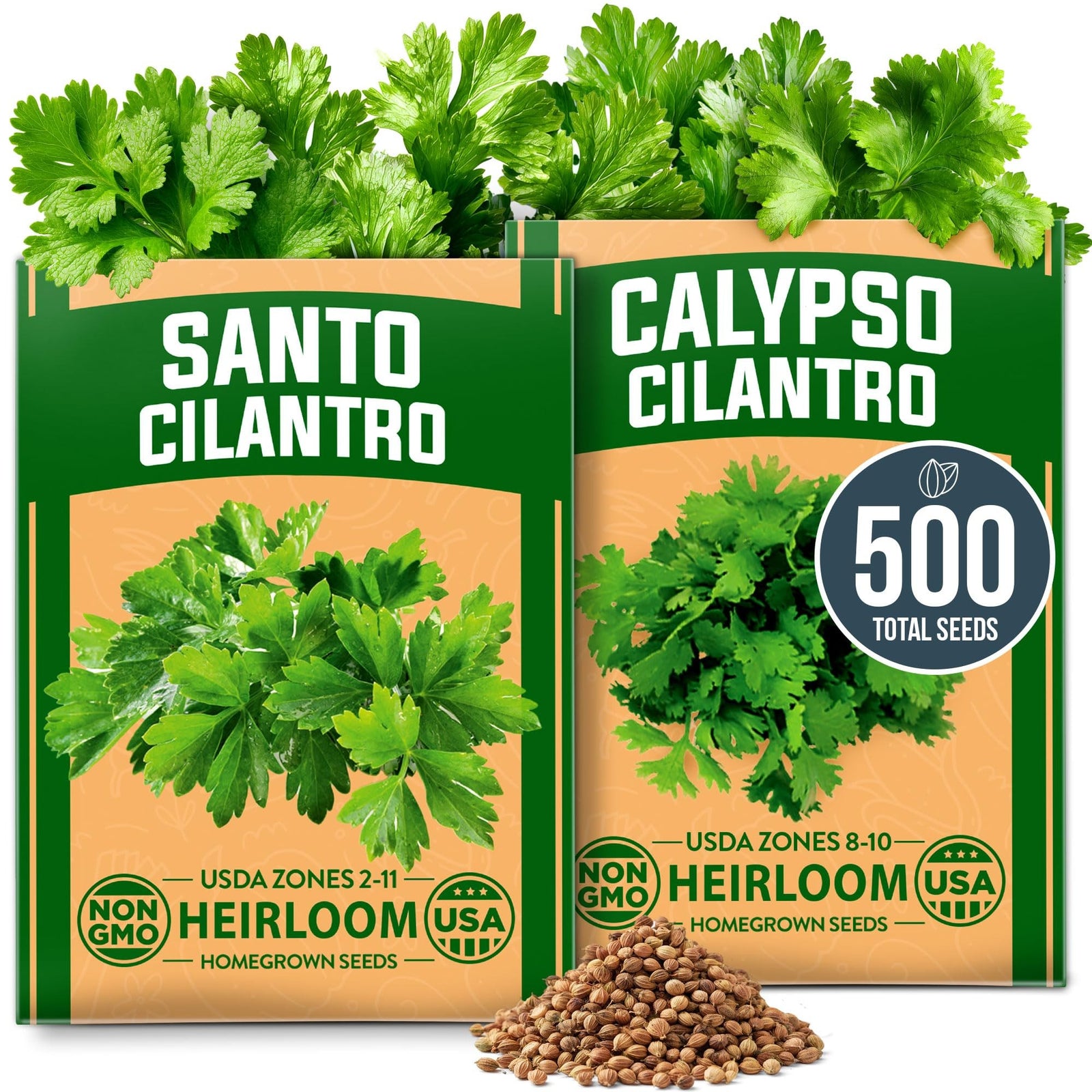 Santo & Calypso Cilantro Seeds - 500 Seeds - Slow-Bolt Mix