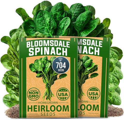 Bloomsdale Spinach Seeds - 704 Seeds (2-Pack) - Dark Crinkled Leaves