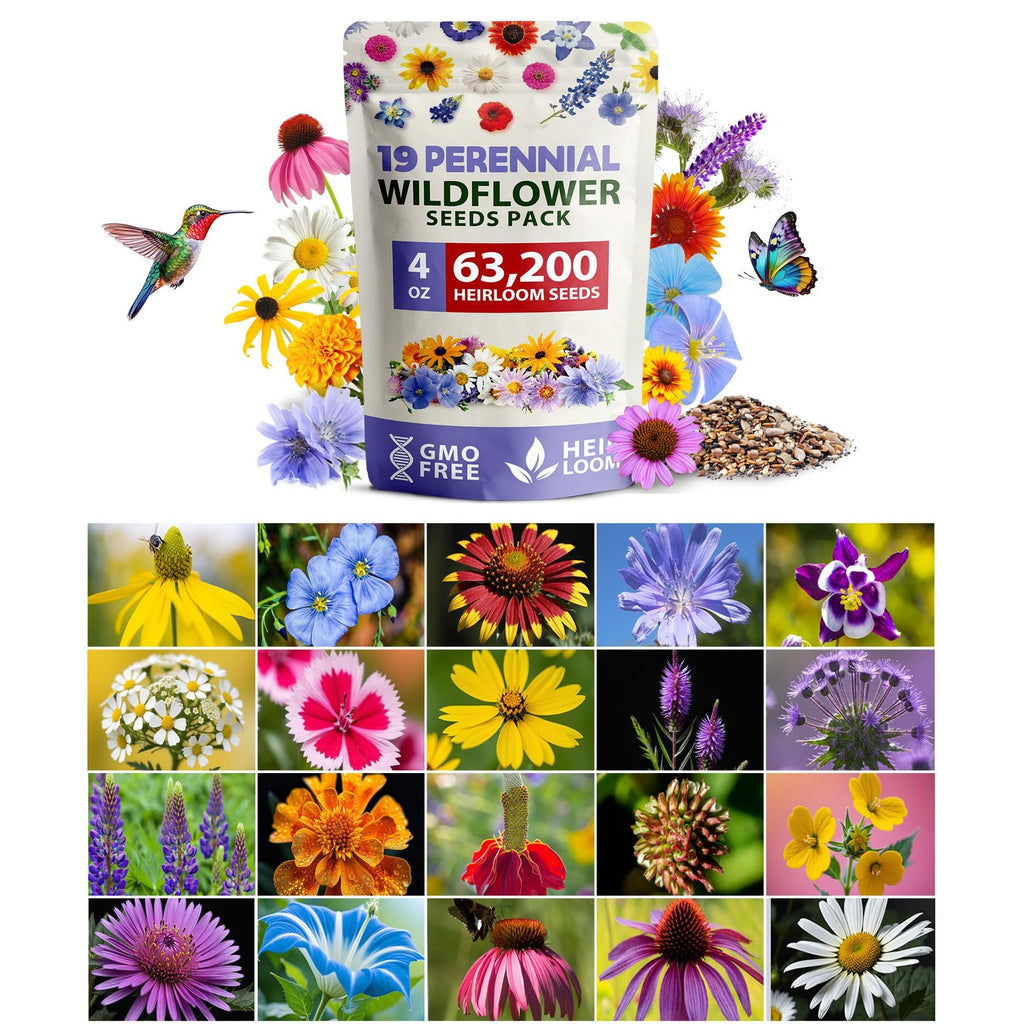 Perennial Wildflower Seed Mix - 25 Varieties (4 oz) - Covers ~500 Sq Ft