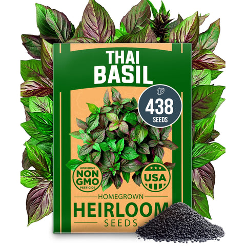 Thai Basil Seeds - 438 Seeds - Aromatic Heirloom