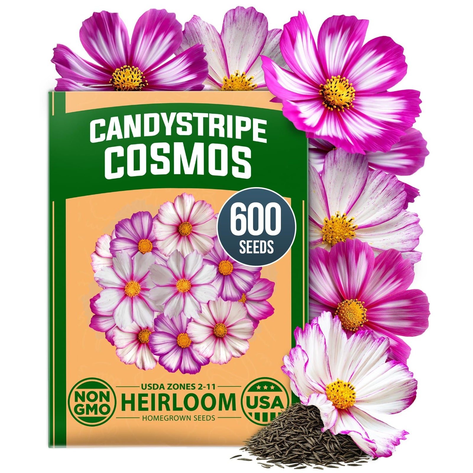 Candystripe Cosmos Seeds - 600 Seeds - Pink & White Bicolor Blooms