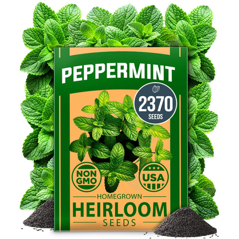 Peppermint Seeds - 2,370 Seeds - Classic Tea & Cooking Herb