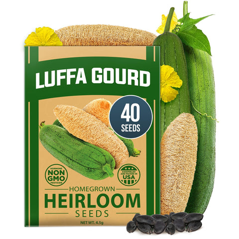 Luffa Seeds - 40 Seeds - Grow Natural Sponges