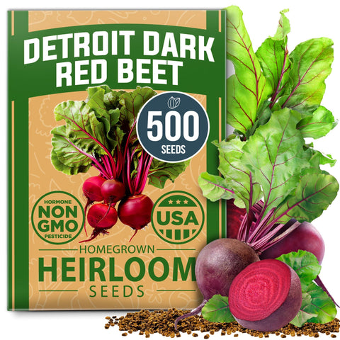 Detroit Dark Red Beet Seeds - 500 Seeds - Sweet Heirloom Roots