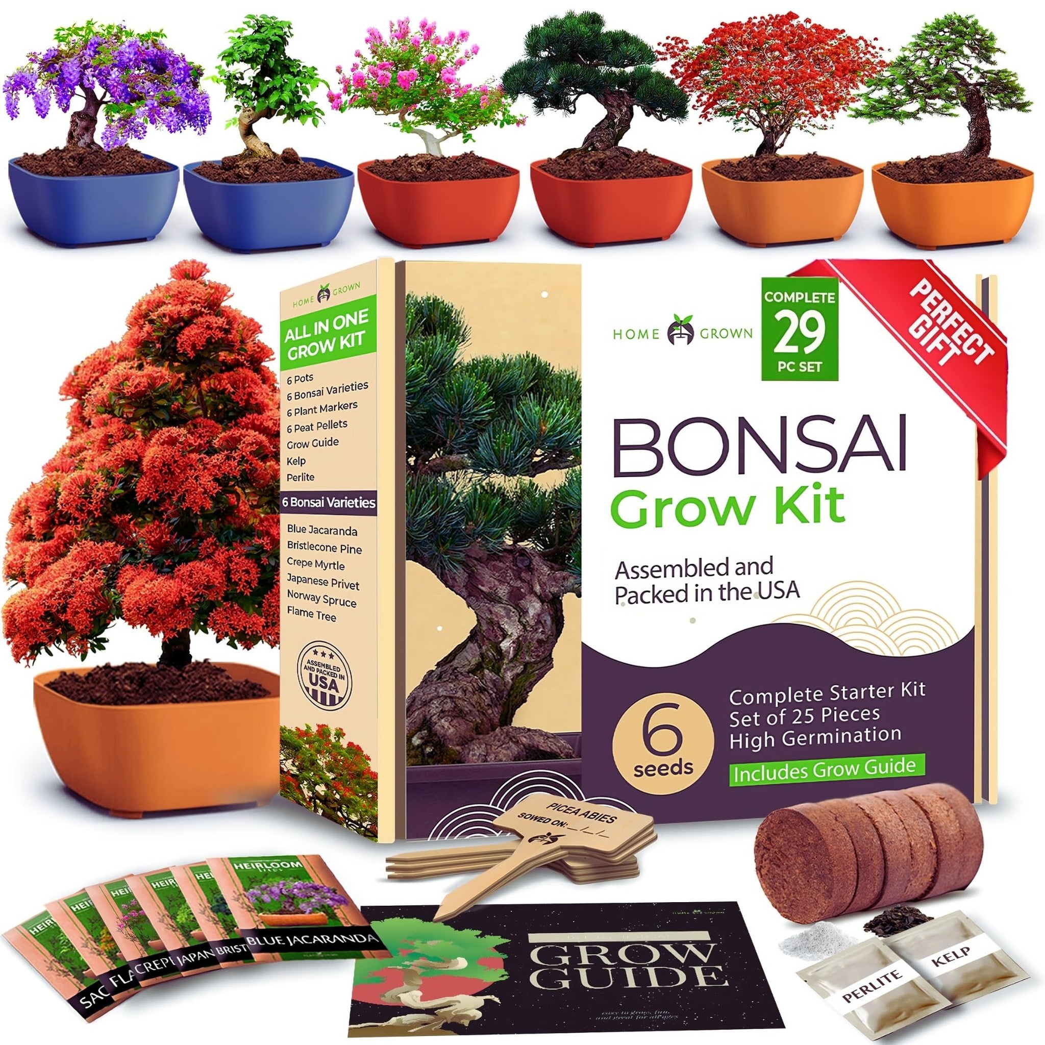 Bonsai Starter Kit - 6 Seed Varieties