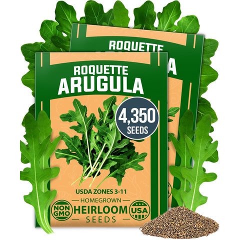 Arugula Seeds - 4,350 Seeds (2-Pack) - Fast-Growing Salad Green