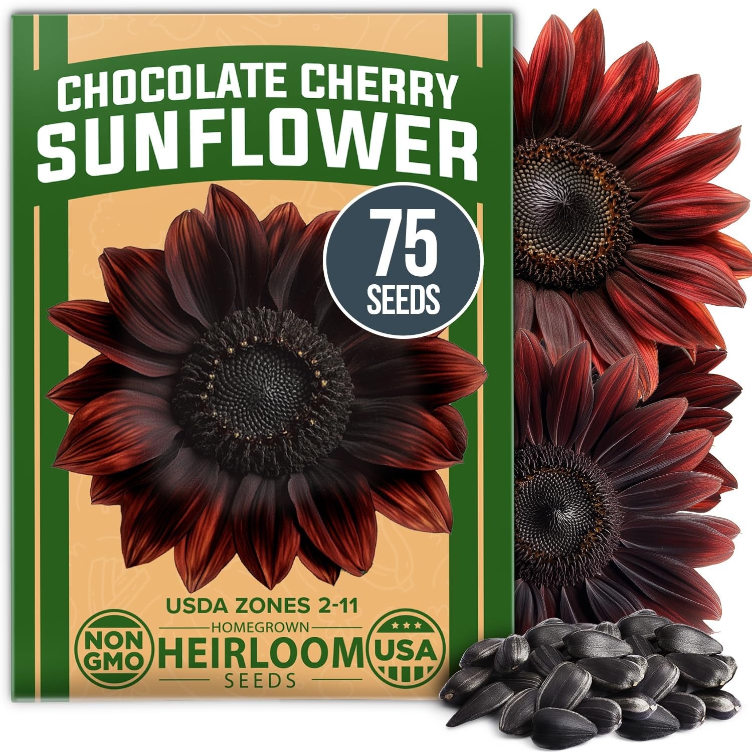 Chocolate Cherry Sunflower Seeds - 75 Seeds - Deep Burgundy Blooms